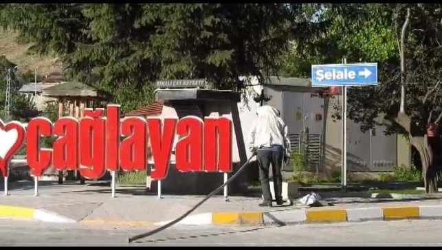 Erzincan'da arı paniği