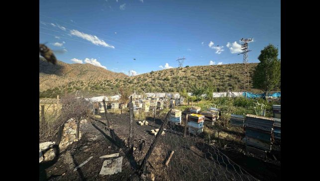 Oltu'da yangın faciası: 30 arı kovanı telef oldu