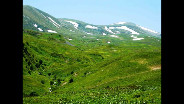 Posof'ta yayla mevsimi başladı