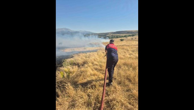 Bitlis'te iki ayrı noktada örtü yangını