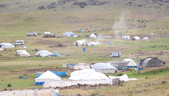 Ağrı'daki 371 yaylaya yerleşen göçer aileler yazı çadırlarda geçiriyor