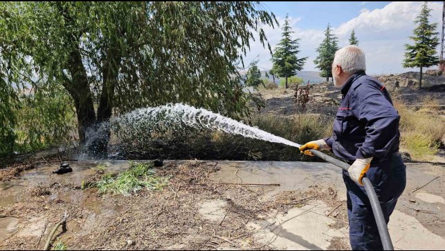 Tatvan'da çıkan yangında 50 dönümlük alan küle döndü