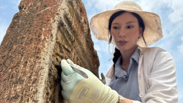 Van'daki Selçuklu Mezarlığı'nda 6 yeni mezar gün yüzüne çıkarıldı