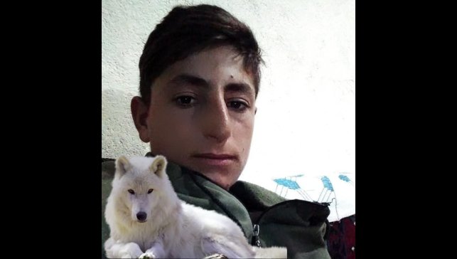 Muş'ta iş kazası: 20 yaşındaki genç hayatını kaybetti