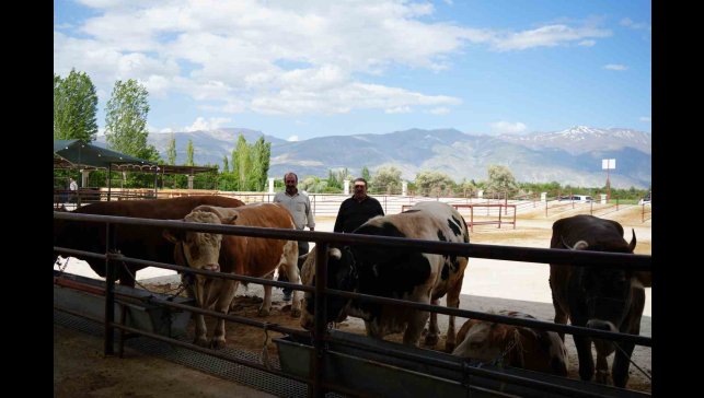 Hayvan pazarı geçici süreyle kapatıldı