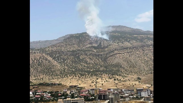 Hakkari'de orman yangını