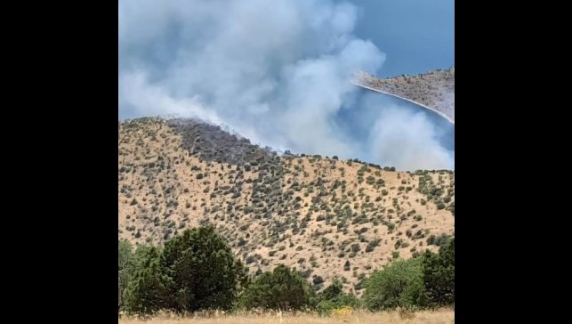Van'da orman yangını: Ekipler zorlu arazide yürüyerek gitmeye çalışıyor
