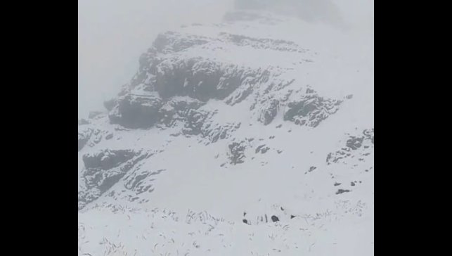 Tuncelili yaylacılar Erzurum'da kara yakalandı