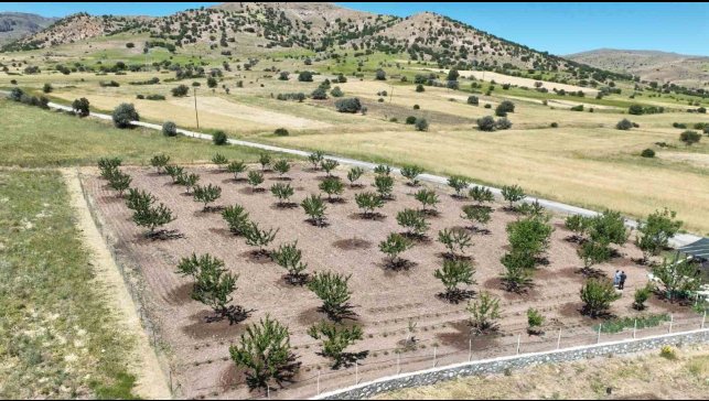 Büyükşehir Belediyesi'nden çiftçilere büyük destek