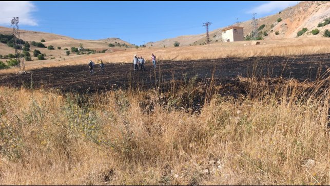 Tunceli'de arazi yangını