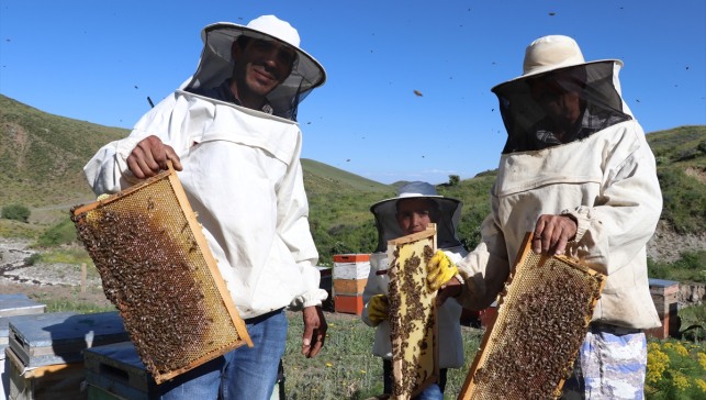 Organik bal ürettikleri dağlara çıkmak için oğlunun yaptığı elektrikli araçları kullanıyor