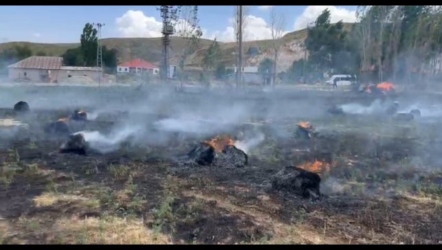 Hakkari'de yaklaşık bin 500 bağ ot kül oldu