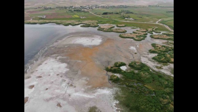 Erçek Gölü'nün kıyıları kuruyor: Uzmanlar uyarıyor