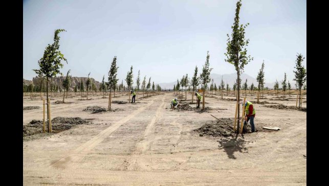 Van Büyükşehir Belediyesi Ihlamur Parkı'yla kente renk katacak