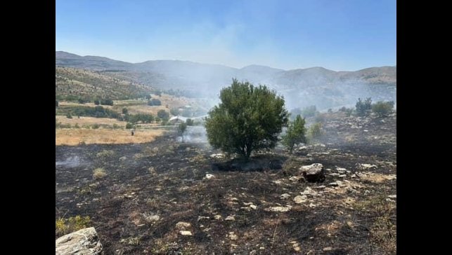 Elazığ'da otluk alanda çıkan yangın söndürüldü