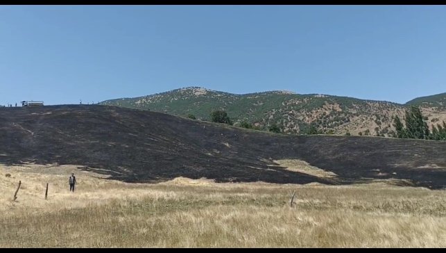 Hizan'da anız yangını, 40 dönüm arazi zarar gördü