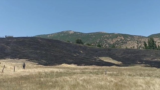 Hizan'da çıkan anız yangını söndürüldü