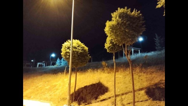 Elazığ'da kuvvetli rüzgar etkili oldu