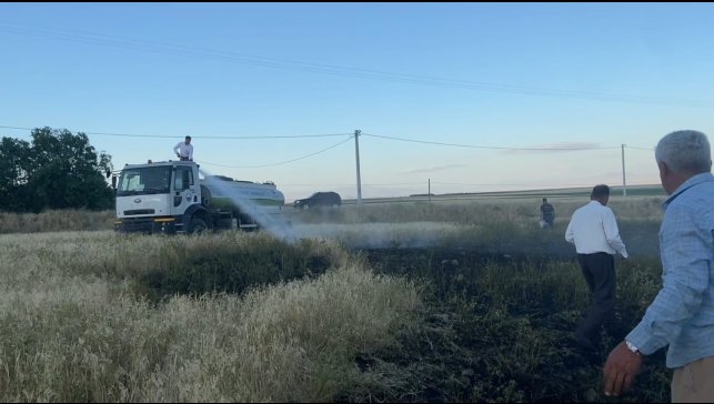 Adilcevaz'da tarlada çıkan yangın korkuttu