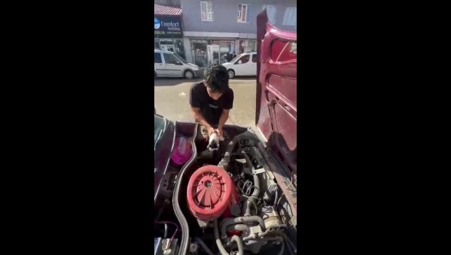 Yavru kedi otomobilin motor bölümünde sıkıştı