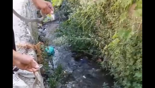 Hakkari'de toprak evin tavanına yuva yapan yılanlar doğaya salındı