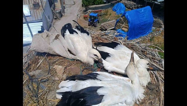 İtfaiyeden leyleğe uzanan şefkat eli