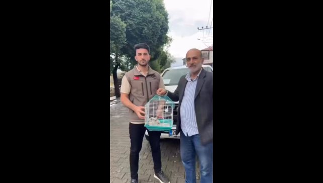 Vatandaşlar ve askerlerin bulduğu 3 kerkenez yavrusu doğaya salındı