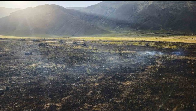Iğdır'da tarla yangını: 250 ot balyası yandı