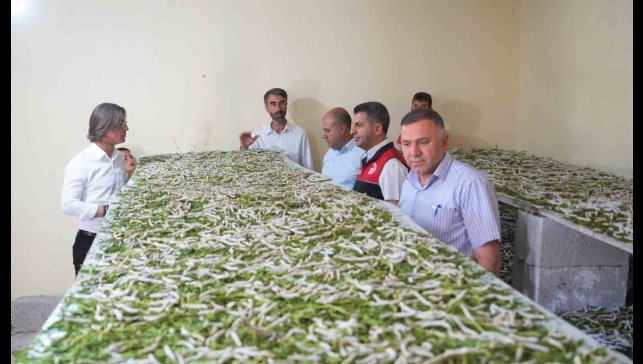 "Böcekle mi uğraşacaksın" sözlerine aldırmadı, binlerce lira kazandı