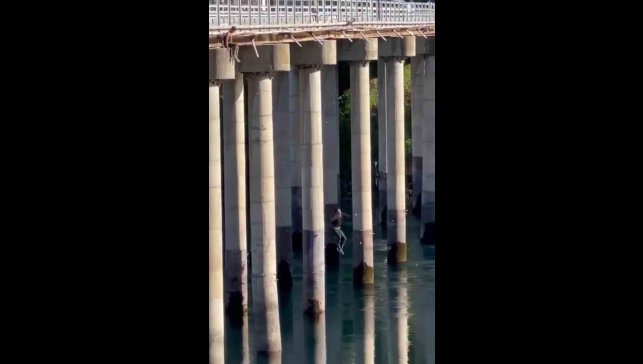 Elazığ'da köprüden nehre tehlikeli atlayış kamerada