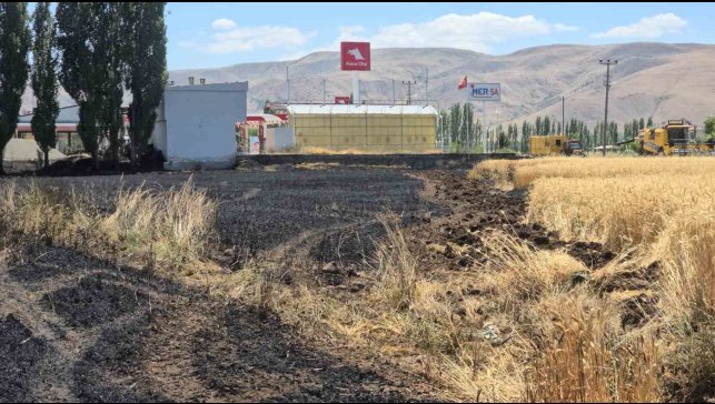 Elazığ'da 23 dönüm buğday, yanarak kül oldu