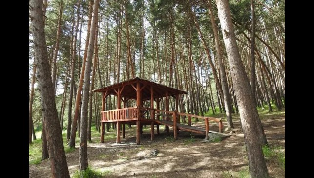 Ardahan'da ormanlara giriş yasaklandı