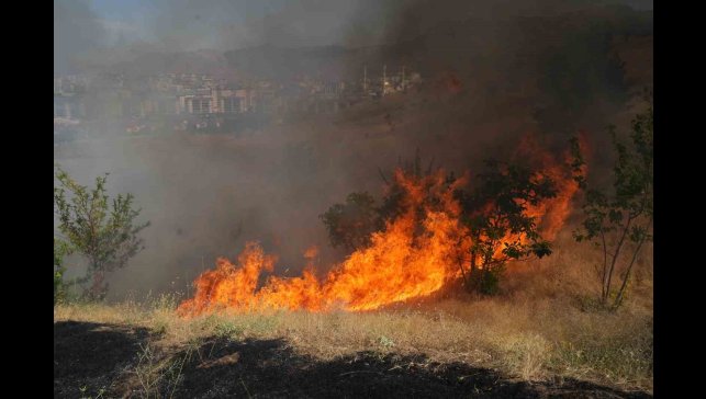 Muş'ta örtü yangını kontrol altına alındı