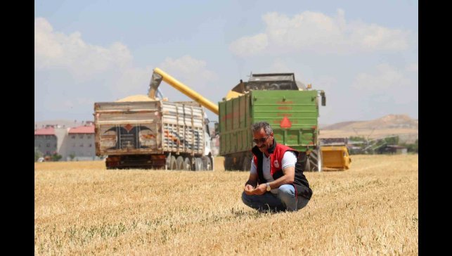 Kuraklık Vanlı çiftçileri vurdu