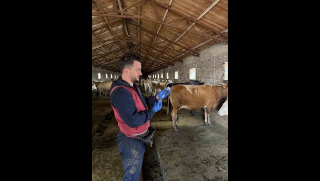 Kars'ta 150 bin doz şap aşısı yapıldı