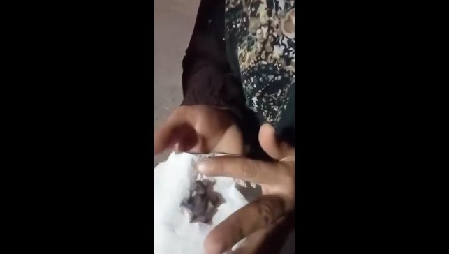 Evinin önünde bulduğu yavru yarasayı ekiplere teslim etti