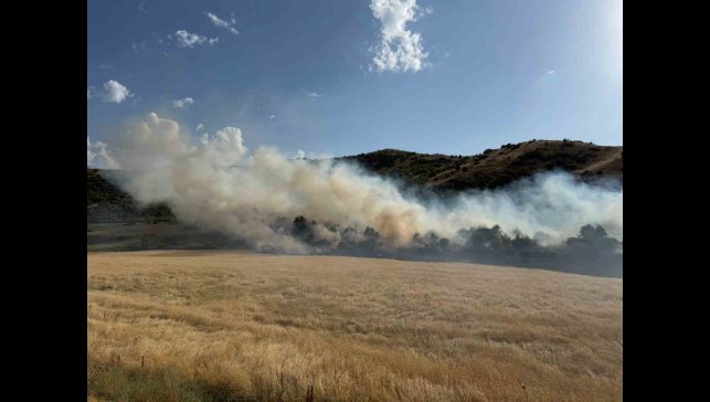Bitlis'te buğday tarlasında çıkan yangın büyümeden söndürüldü