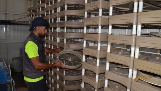 Muş'ta 2 bin 100 rakımda kurulan tesiste tonlarca yavru balık üretiliyor