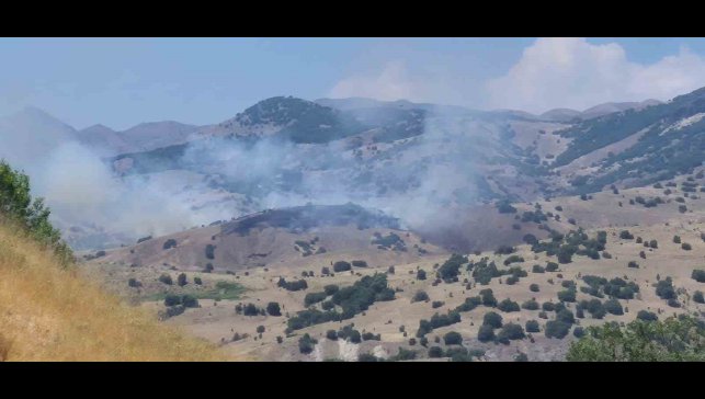 Bingöl'de orman yangını kontrol altına alındı