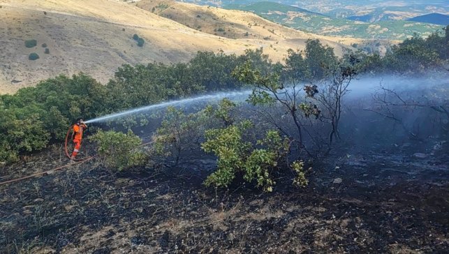 Bingöl'de meşelik alanda çıkan yangın söndürüldü