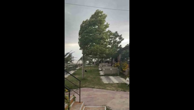 Palu'da fırtına etkili oldu