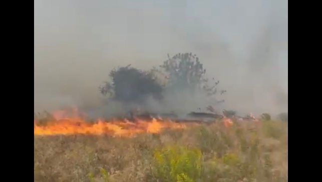 Doğanyol'da bahçe yangını