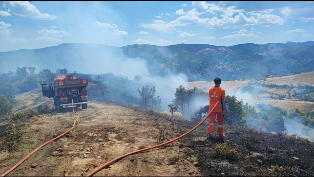 Bingöl Valiliği orman yangınlarına karşı uyardı
