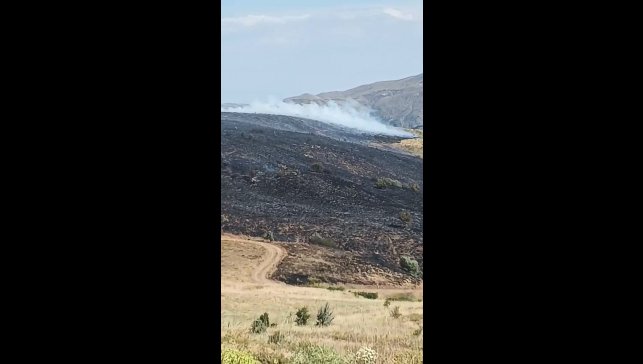 Elazığ'da arazi yangını