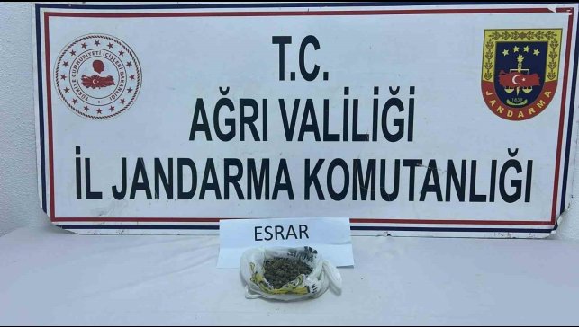 Ağrı'da uyuşturucu operasyonu: 511 kök kenevir ve 50 gram esrar ele geçirildi