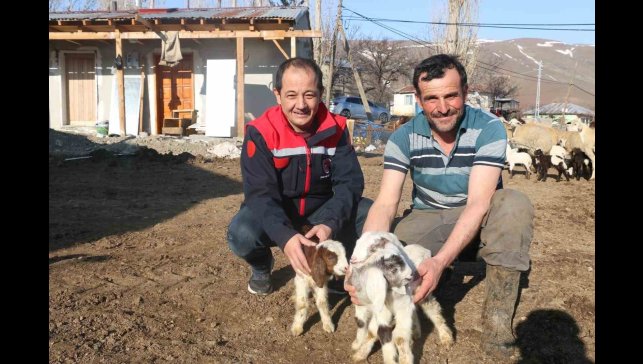Erzincan'da koyunculuk kredisi 1 milyon 200 bin liraya yükseltildi