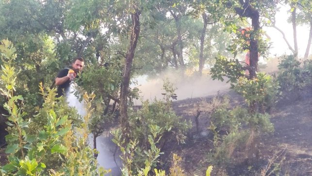 Bingöl'de ormanlık alanda çıkan yangın söndürüldü