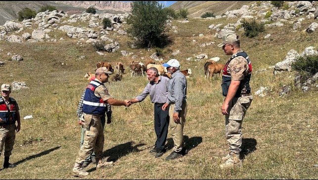 Üzümlü'de 4 gündür kayıp 17 büyükbaş hayvanı jandarma buldu