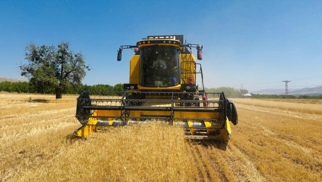 Kaymakam Sungur, buğday hasadına katıldı