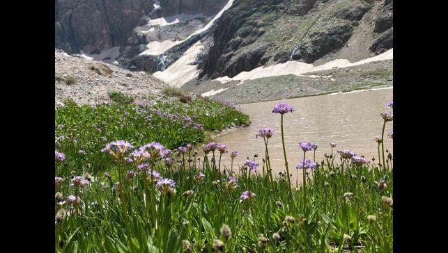 Cilo Dağı'nda buzullar hızla eriyor